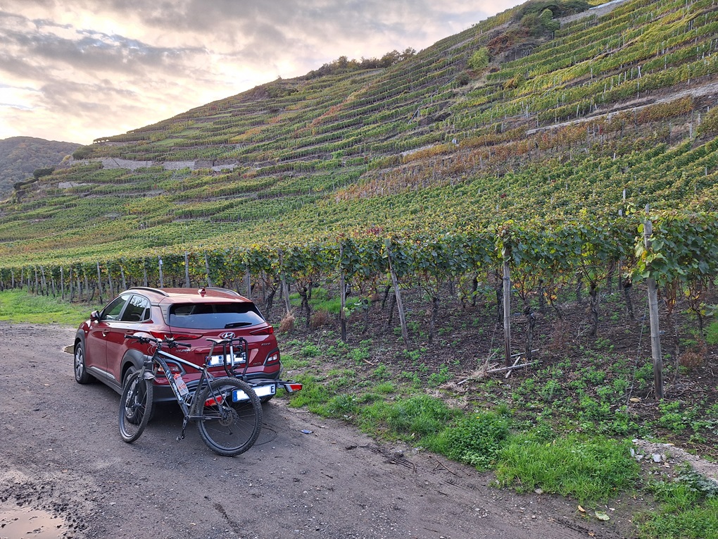 2020er Electric, herbstliche Weinberge an der Ahr